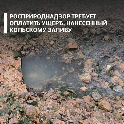 Балтийско-Арктическое межрегиональное управление Росприроднадзора добивается возмещения вреда, нанесённого Кольскому заливу Баренцева моря