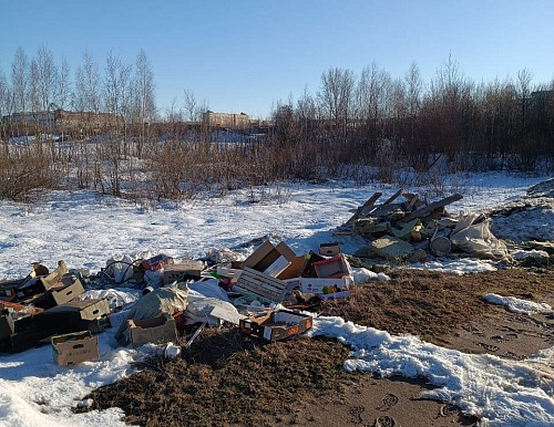 После предостережения Росприроднадзора в Нижнем Новгороде ликвидировали несанкционированную свалку