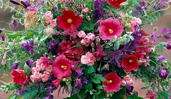 Поздравление Светланы Радионовой с праздником 8 Марта