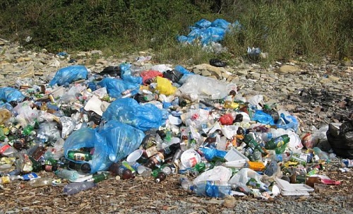 Администрация Пензенского района должна устранить несанкционированную свалку отходов ТКО