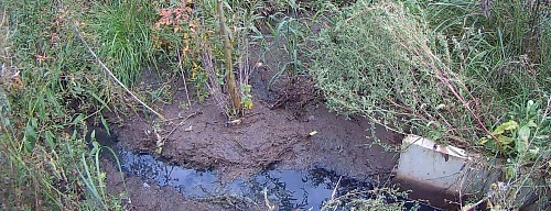 ГУП Чувашской Республики «БОС» Минстроя Чувашии отказывается добровольно возмещать вред, причиненный водному объекту