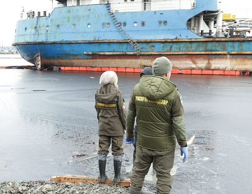 Росприроднадзор произвел расчет ущерба экологии, нанесенного в результате крушения танкеров в Черном море