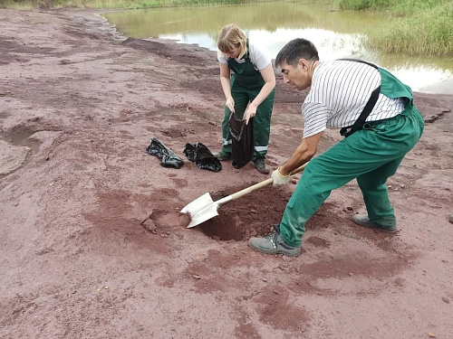 Росприроднадзор обнаружил в Саратовской области залежи опасных веществ (отходов) на 772 миллиона рублей 