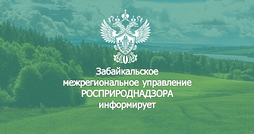 Об изменении порядка предоставления комплексных экологических разрешений