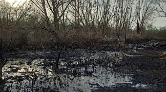 ООО «РИТЭК» обязано возместить ущерб в размере 167,4 млн рублей за разлив нефтепродуктов