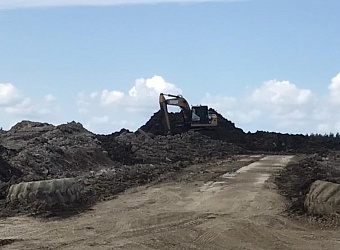 Росприроднадзор проводит проверку по факту размещении грунтов на землях лесного фонда в Кингисеппском районе Ленинградской области