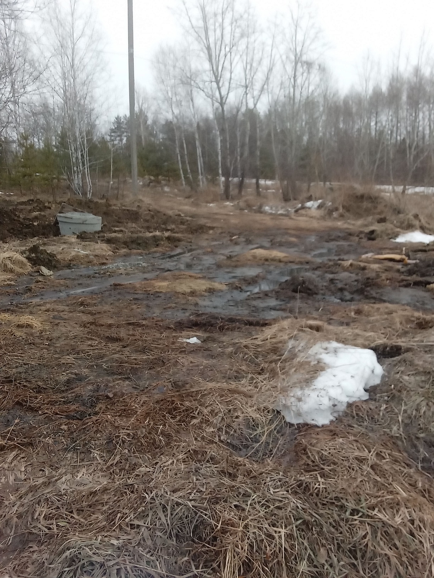 Инспекторы Росприроднадзора провели внеплановую проверку КГУ по факту разлива на почву канализационных сточных вод