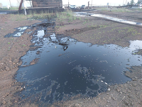 Инспекторы Росприроднадзора обследовали места разгерметизации нефтепровода в Тукаевском районе Республики Татарстан