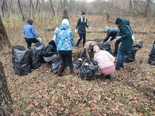 В Смоленске сотрудники Росприроднадзора приняли участие ликвидации свалки отходов на берегу Днепра