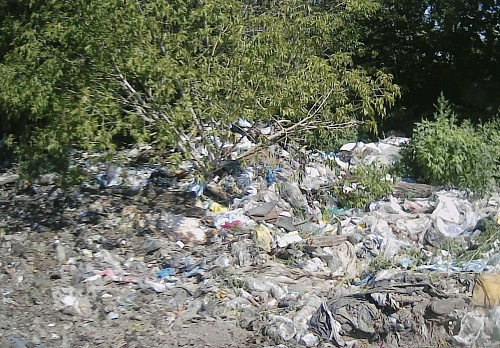 В результате выездной проверки объекта размещения отходов, эксплуатируемого ООО «Елатьмасервис», установлен факт причинения вреда окружающей среде в размере более 1 200 000 рублей