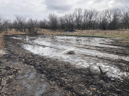 Росприроднадзор выявил факт причинения ущерба почве на территории Суровикинского района Волгоградской области