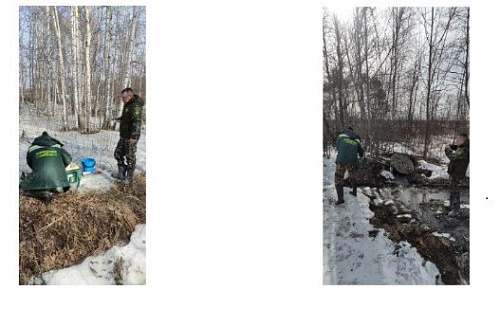 Инспекторы Уральского управления Росприроднадзора провели выездное обследование реки Ольховка в Первоуральском городском округе 
