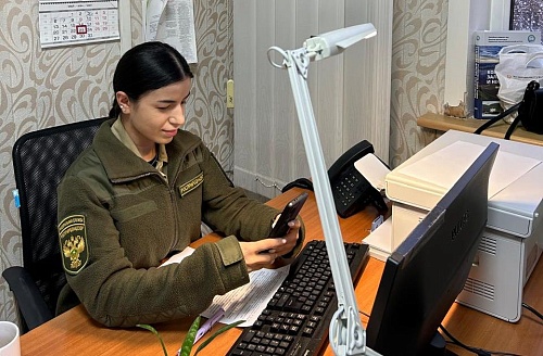 Цифровизация контроля. Мобильное приложение "Инспектор" в действии