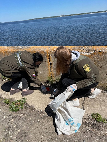 Сотрудники Управления Росприроднадзора по Самарской и Ульяновской областям вышли на уборку берегов Волги 