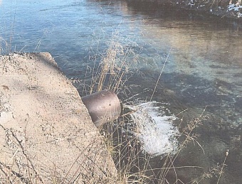 Ущерб р. Енисей, причиненный коммунальным предприятием в Республике Тыва, превысил 20 млн рублей