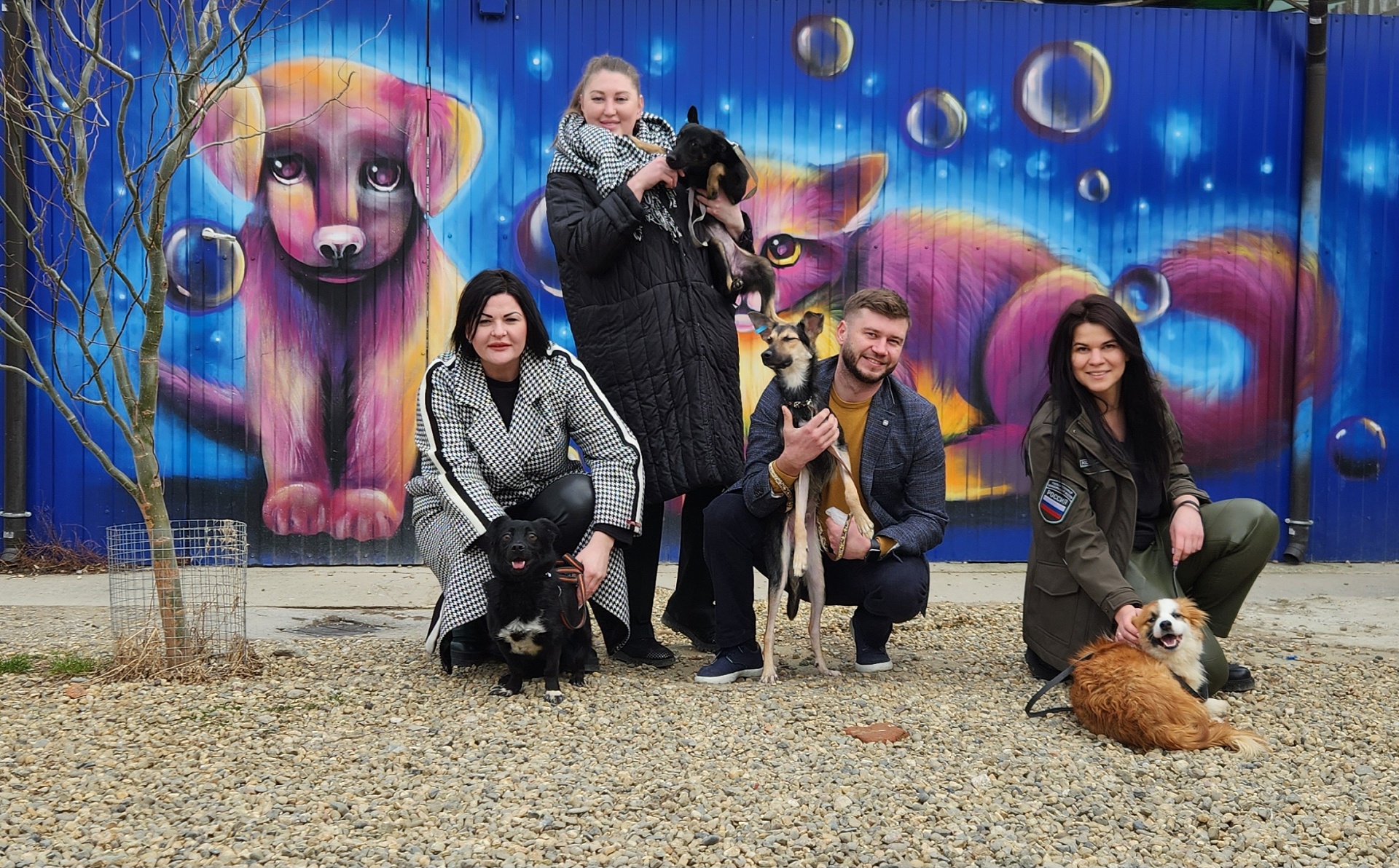 Сотрудники Южного управления Росприроднадзора и общественные инспекторы собрали гуманитарную помощь обитателям приюта для животных «Краснодог»