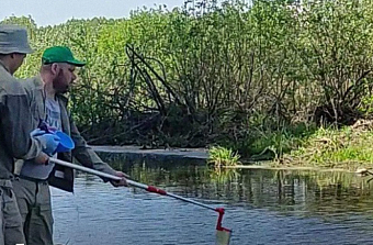 Реке Амба в Новосибирской области нанесен ущерб на 1,13 млрд рублей