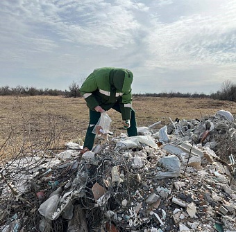 Росприроднадзор добивается возмещения более 3,1 млн рублей за ущерб от незаконной свалки в Ростовской области