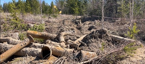 Северо-Уральским межрегиональным управлением Росприроднадзора рассчитан вред, нанесенный окружающей среде  в размере свыше 23,5 млн.рублей