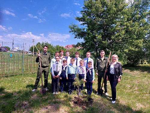 В Пензе сотрудники Росприроднадзора совместно с призерами премии «Экология - дело каждого» посадили деревья