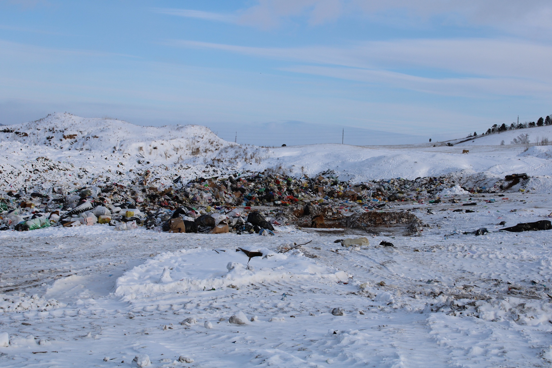 Росприроднадзор проводит выездные обследования объектов для включения в федеральный проект «Генеральная уборка»