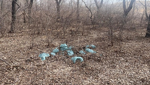 Росприроднадзор провел мероприятия по наблюдению за экологическим состоянием реки Урал и водохранилищ Челябинской области