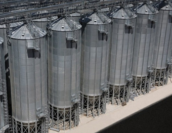 Росприроднадзор оштрафовал «Русагро-Балаково» за системные экологические нарушения