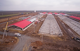 ООО «Борисовский свинокомплекс – 1» привлечено к административной ответственности за многочисленные нарушения природоохранного законодательства