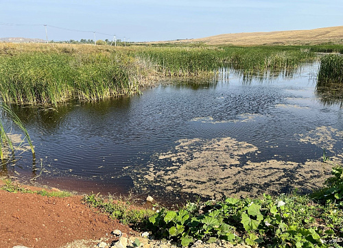 Сотрудники Уральского управления Росприроднадзора выявили на реке Курасан гидротехнические сооружения, перекрывающие русло