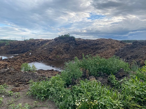 В Воронежской области инспекторы Центрально-Черноземного управления Росприроднадзора выявили нарушение природоохранного законодательства ООО «Заречное» из-за загрязнения почвы отходами животноводства