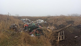 В Иркутске суд обязал АО «Спецавтохозяйство» возместить ущерб окружающей среде