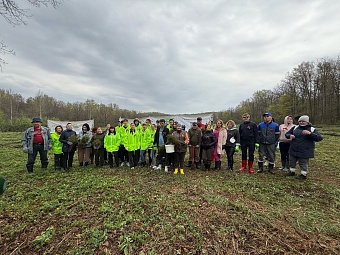 Сотрудники Южно-Уральского управления Росприроднадзора приняли участие в акции «Сад памяти» в Кармаскалинском районе Республики Башкортостан