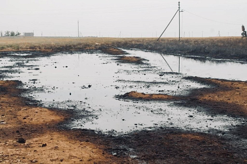 Арбитражный суд Республики Калмыкия удовлетворил иск Росприроднадзора и постановил взыскать ущерб, причиненный почвам ООО «ЕвроСибОйл», на сумму 51 млн. рублей