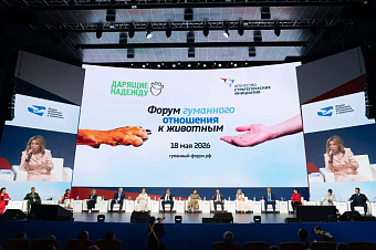 Светлана Радионова приняла участие в Форуме гуманного отношения к животным
