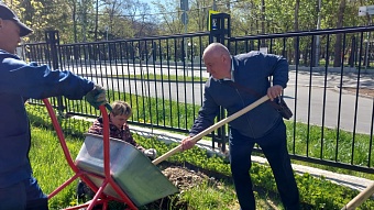 Сотрудники Дальневосточного управления Росприроднадзора вместе со школьниками высадили саженцы в Южно-Сахалинске