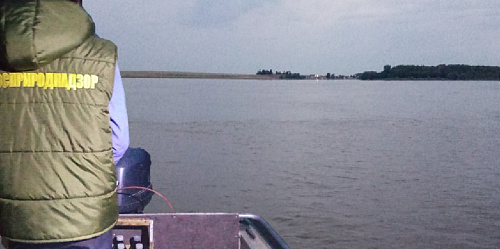 Росприроднадзор не обнаружил загрязнения реки Волга в районе переката Селитренный