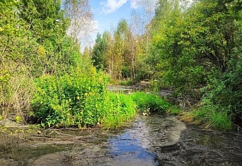 Росприроднадзор выявил факт разлива сточных вод в Челябинской области