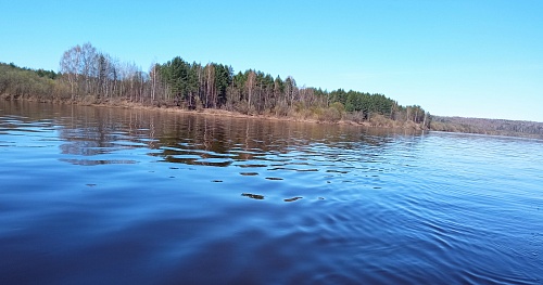 Демьяновский завод ДВП возместил вред реке Юг в Кировской области