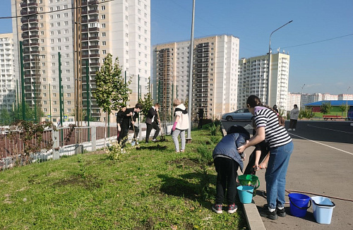 Сотрудники Росприроднадзора приняли участие в празднике древонасаждения в г. Ростове-на-Дону