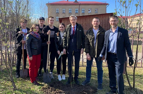 Сотрудники Росприроднадзора высадили саженцы деревьев в г. Котласе Архангельской области