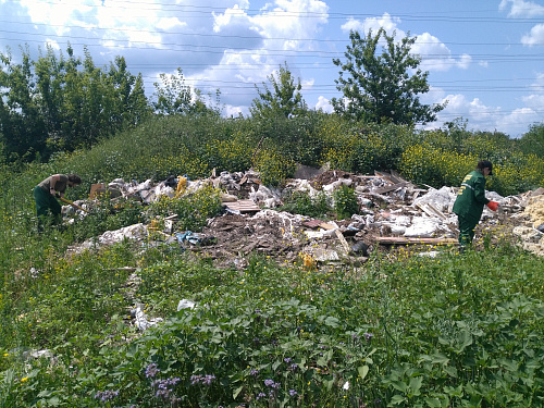 Росприроднадзор проводит расчет ущерба, причиненного почвам, от несанкционированной свалки в Тамбове площадью более 2,7 тыс. кв.м.