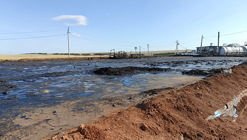 В результате деятельности ООО «Татпромэко» нанесен вред почве на сумму более 350 млн руб. 
