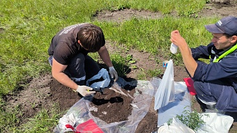 Центрально-Черноземное управление Росприроднадзора провело выездные обследования в рамках федерального проекта «Генеральная уборка» на территории Курской области