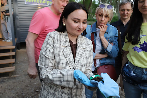 В Воронеже Центрально-Черноземное управление Росприроднадзора поддержало открытие первого в стране Центра охраны рукокрылых, организованного под руководством общественного инспектора Елены Шерстяных