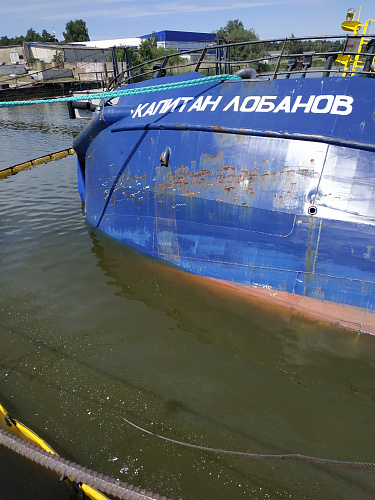 Росприроднадзор по СЗФО привлек к административной ответственности виновных в загрязнении нефтепродуктами Калининградского залива