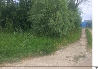 По требованию Росприроднадзора в Пензенской области ликвидированы навалы ТКО