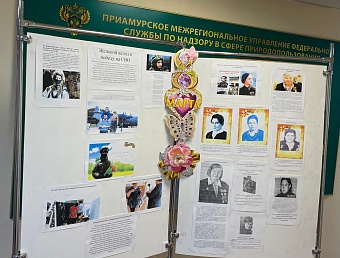 Сотрудники Приамурского управления Росприроднадзора организовали выставку фотографий женщин-дальневосточниц, находящихся в зоне СВО, волонтеров, ветеранов войны и тружениц тыла