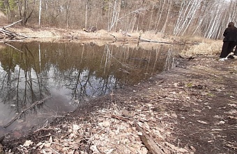 Сотрудники Росприроднадзора проверяют информацию о гибели черепах