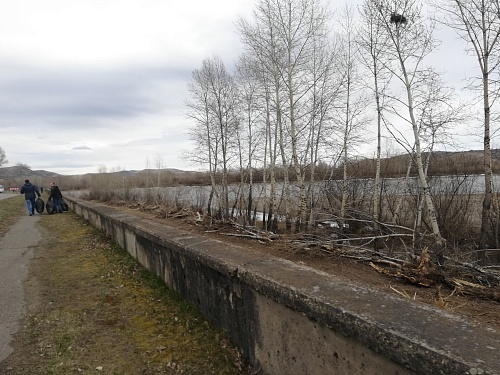 Накануне Дня Победы сотрудники Енисейского управления Росприроднадзора присоединились к Всероссийскому субботнику «Мы за чистоту» 