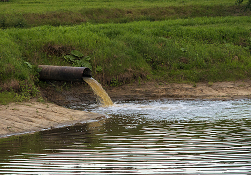 Росприроднадзор направил предостережение МУП «Саратовский коммунальный комплекс» для ликвидации сброса сточных вод на территорию водоохранной зоны